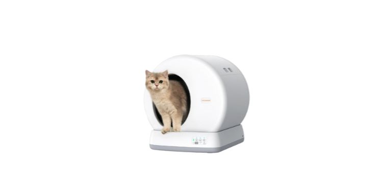 Meowant self