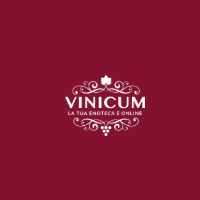 Vinicum IT