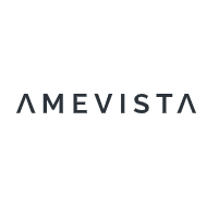Amevista IT