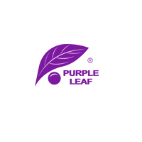 Purple Leaf