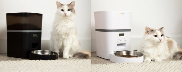 Cat Feeder